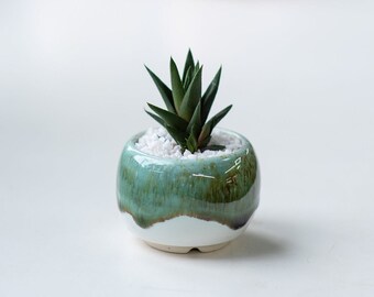 Cute round succulent pot - Little plant pot - Teal ceramic cactus planter - Emerald mini pot