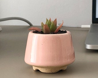 Pink small cone plant pot S size for cactus or succulent, Color Mix, Ceramic planter for succulent cactus, Wedding favor