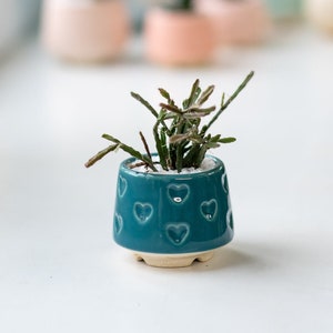 Teal small succulent pot with hearts, Succulent Valentines gift, Mini planter, Ceramic plant pot, Turquoise heart print pot