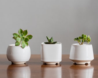 White small plant pot size M - Set of 3 - Ceramic flower planter for succulent - Gift for plant lover - Succulent pot set of 3