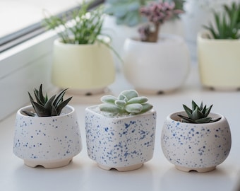 White and blue succulent pot M size, Ceramic planter for succulent, cactus, Wedding favor, Set of succulent pots