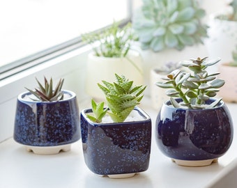 Trio blue and white succulent planter, Choose in options if you want with saucers or not