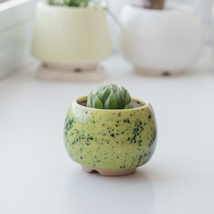 Little round plant pot Succulent planter Red pot Ceramic cactus planter Lime and Green