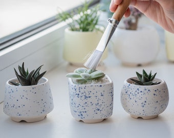 White and blue succulent pot M size, Set of 3, Ceramic planter for succulent, cactus, Wedding favors