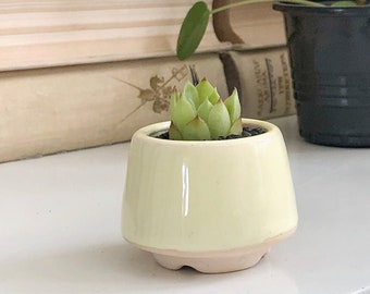 Small Cone Plant Pot S size for cactus or succulent Color Mix - Ceramic planter for succulent cactus - Wedding favor - Set of succulent pots
