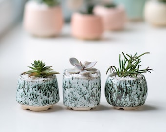 Set of 3 green succulent planters - Marble collection - Cute ceramic 2 inch pots