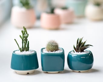 Turquoise Small Plant Pots - Set of 3 teal ceramic pot for cactus - Wedding favour - Set of succulent planters