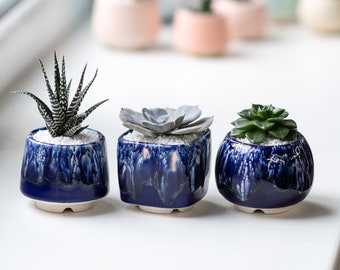 Set of succulent blue ceramic glazed planters - Set of 3 pots - Black Sea collection - 2 inch pots