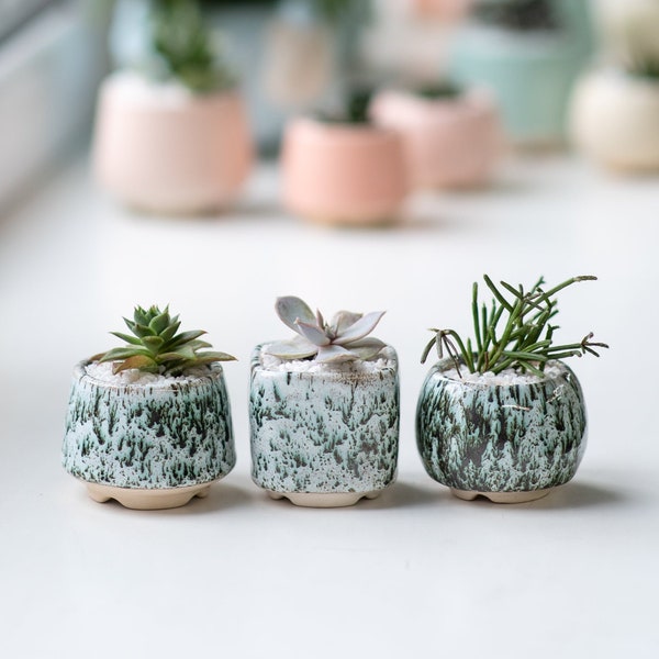 Set of 3 green succulent planters - Marble collection - Cute ceramic 2 inch pots