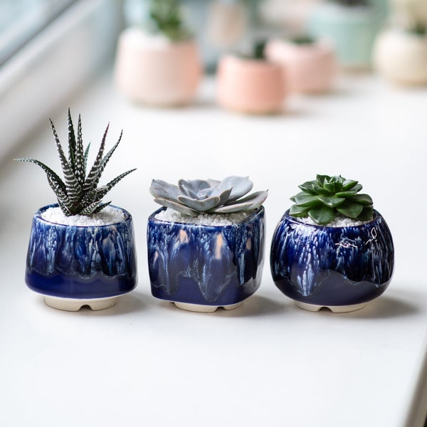 Set of succulent blue ceramic glazed planters - Set of 3 pots - Black Sea collection - 2 inch pots