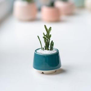 little teal ceramic succulent pot // cute turquoise small plant pot // 2 inch glaze ceramic planter