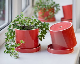 Coral cylinder plant pot