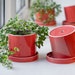 see more listings in the Medium plant pot section