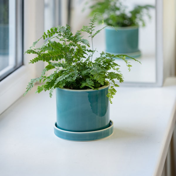 Teal cylinder plant pot