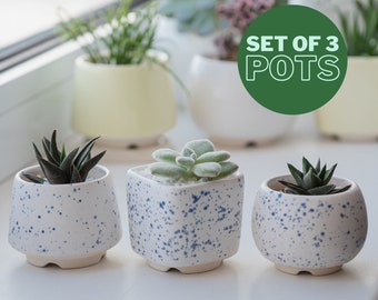 White and Blue Small Plant Pot Set of 3 Ceramic planter for succulent cactus Wedding favour Gift for plant lady Set of succulent pots