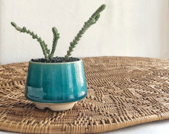 Tiny teal pot