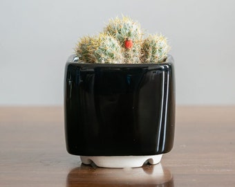 Black tiny square plant pot for cactus or succulent, Ceramic planter for succulent, cactus