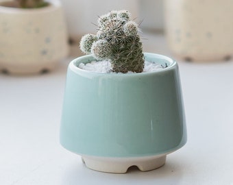 Mint cone plant pot S size for cactus or succulent, Ceramic planter for succulent cactus, Wedding favor