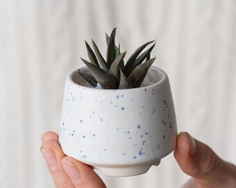 White and blue ceramic succulent pot, cute plant pot, 2 inch ceramic planter