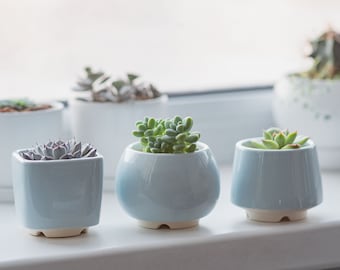 Trio light blue succulent planter - set of 3 pots, Blue planter