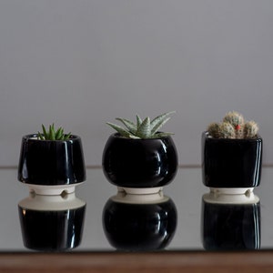 Trio black succulent planter set of 3 pots, Ceramic cactus pot image 1