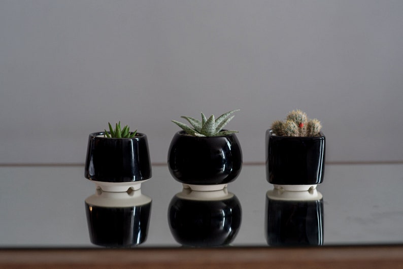 Trio black succulent planter set of 3 pots, Ceramic cactus pot image 1