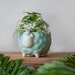 see more listings in the Animal plant pots section