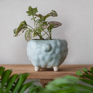 Sheep flower pot, Blue planter, Cute animal planter, Plant lover gift image 4