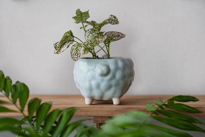 Sheep flower pot, Blue planter, Cute animal planter, Plant lover gift image 4