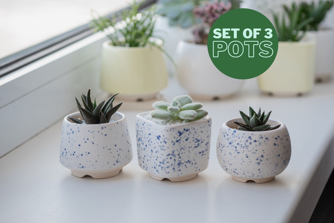 White and Blue Small Plant Pot Set of 3 Ceramic Planter for Etsy — free download