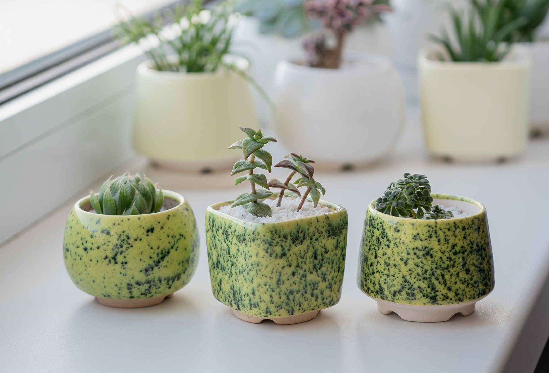 Lime and Green Small Plant Pot Set of 3 Ceramic Planter Etsy