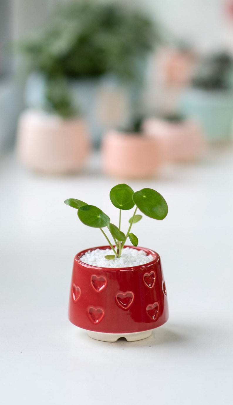 Teal small succulent pot with hearts, Succulent Valentines gift, Mini planter, Ceramic plant pot, Turquoise heart print pot Red