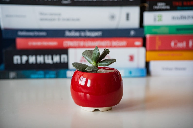 Little round plant pot Succulent planter Red pot Ceramic cactus planter Red