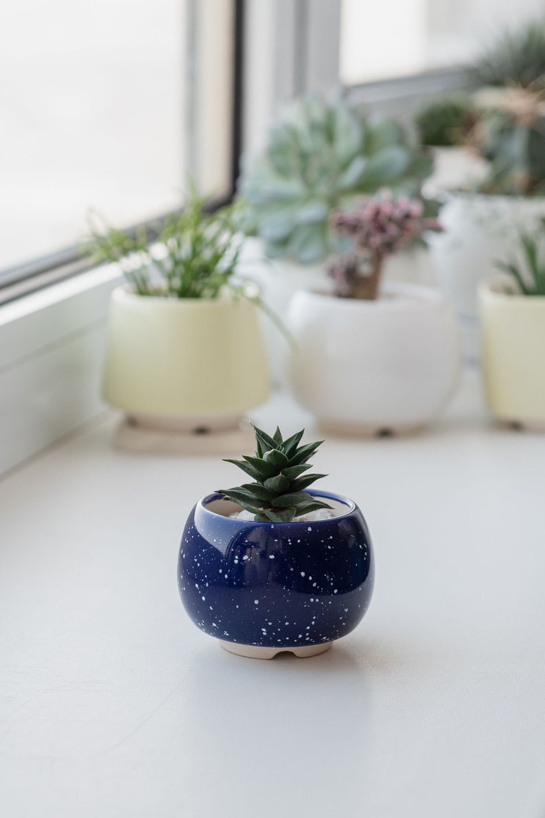 Little round plant pot Succulent planter Red pot Ceramic cactus planter Blue and White
