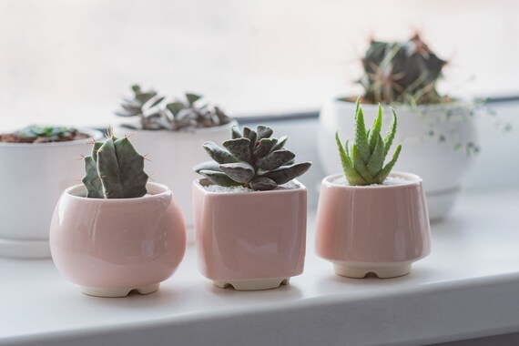 Turquoise Small Plant Pot M Size Set of 3 Ceramic Pot for Cactus