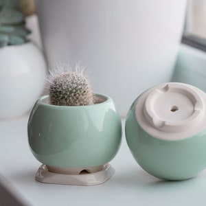 Mint ceramic succulent pot, Round ceramic planter for cactus or succulent image 5