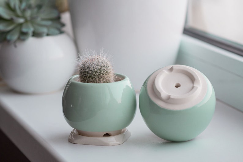 Mint ceramic succulent pot, Round ceramic planter for cactus or succulent image 5