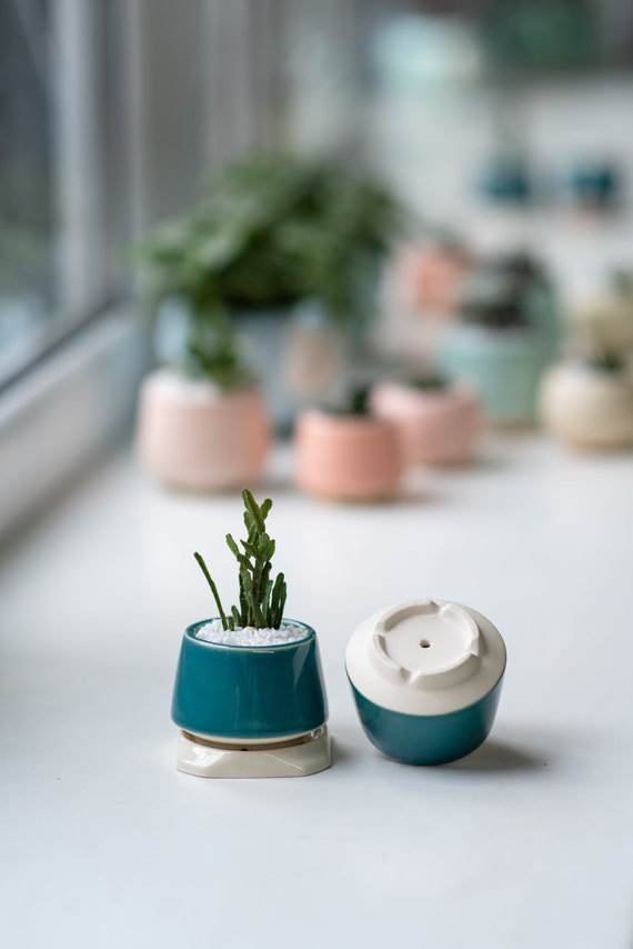 Turquoise Small Plant Pot M Size Set of 3 Ceramic Pot for Cactus