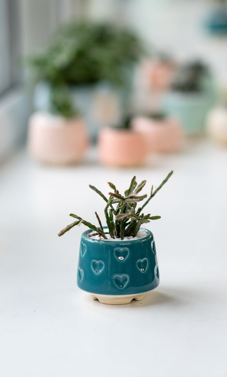 Teal small succulent pot with hearts, Succulent Valentines gift, Mini planter, Ceramic plant pot, Turquoise heart print pot Teal