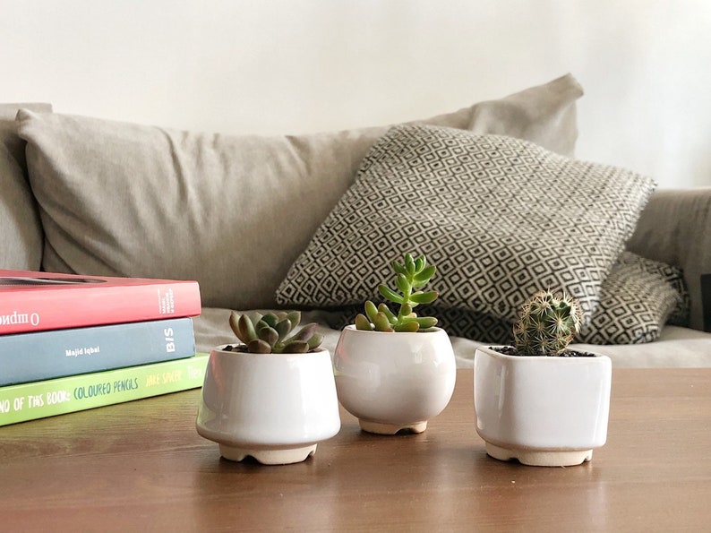 White small plant pot Set of 3 Ceramic planter for succulent, cactus Wedding favor Gift for plant lover Set of succulent pots image 1