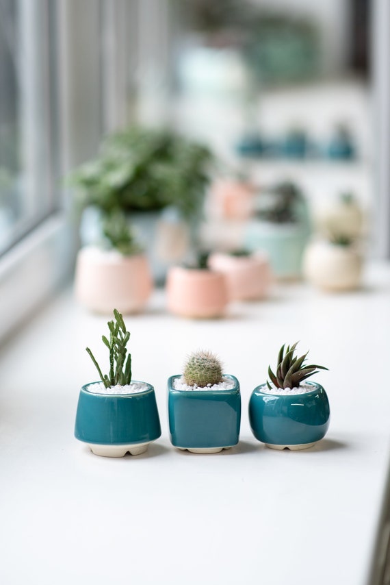Turquoise plant pot best sale