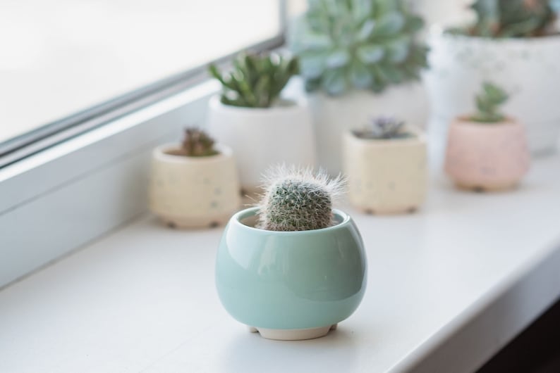 Mint ceramic succulent pot, Round ceramic planter for cactus or succulent image 2