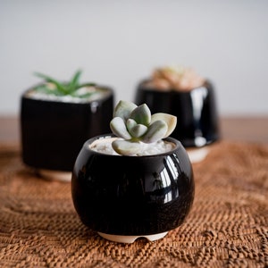 Little round plant pot Succulent planter Red pot Ceramic cactus planter Black