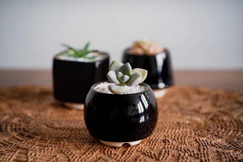 Little round plant pot Succulent planter Red pot Ceramic cactus planter Black