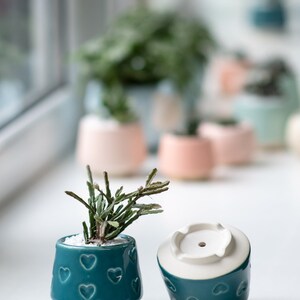 Teal small succulent pot with hearts, Succulent Valentines gift, Mini planter, Ceramic plant pot, Turquoise heart print pot image 6