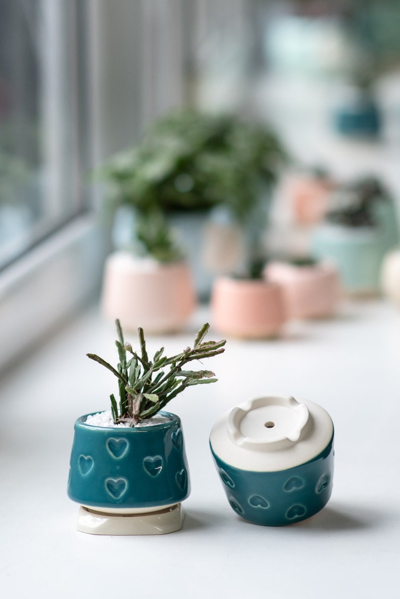 Teal small succulent pot with hearts, Succulent Valentines gift, Mini planter, Ceramic plant pot, Turquoise heart print pot image 6