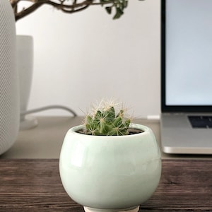 Mint ceramic succulent pot, Round ceramic planter for cactus or succulent image 9