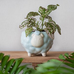 Sheep flower pot, Blue planter, Cute animal planter, Plant lover gift image 2