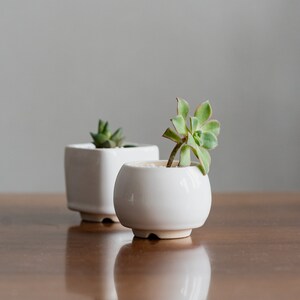 Little round plant pot Succulent planter Red pot Ceramic cactus planter White