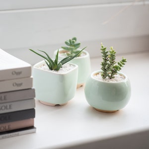 Mint ceramic succulent pot, Round ceramic planter for cactus or succulent image 7